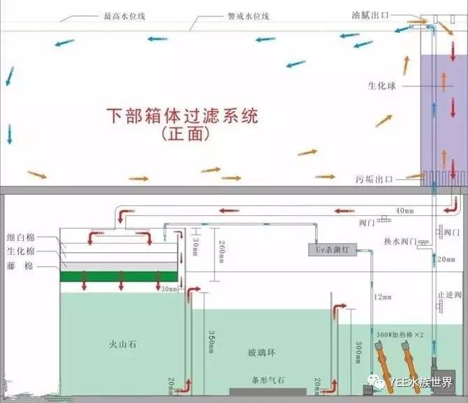 把氧气带到鱼缸的各个角落,再把垃圾送到过滤器,让水体保持活力和洁净