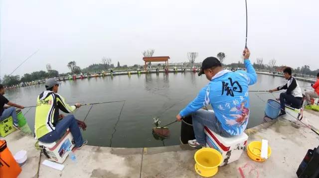 全国百强村集体经济总量_村集体经济分红