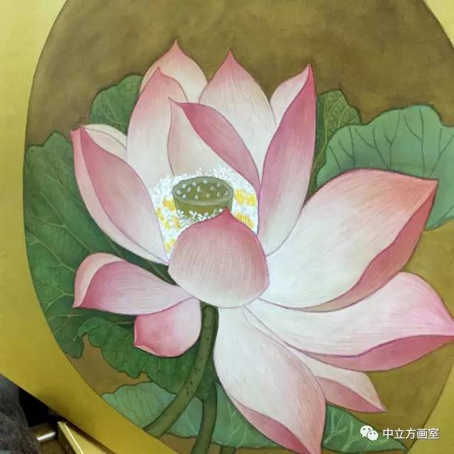 经典宋人小品 | 工笔 出水芙蓉图>步骤解析