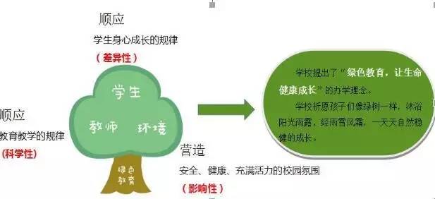 幼儿园教育原理属什么学科_幼儿园安全教育图片(2)