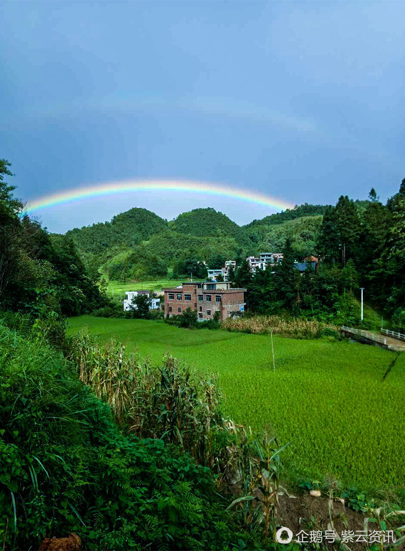 美图|紫云雨后现彩虹美景,朋友圈又被刷屏-紫云资讯