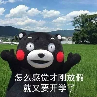 系统无法充值假期余额_搜狐搞笑_搜狐网