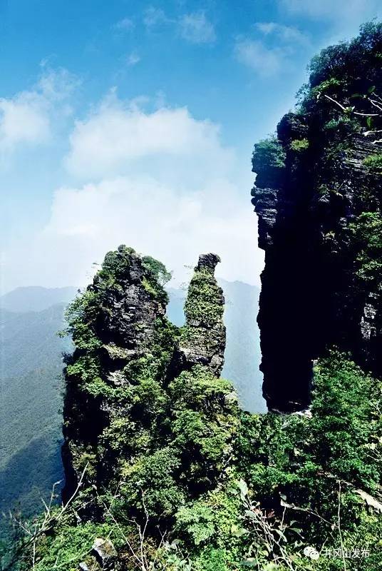 【悦读】井冈山鹅岭游记