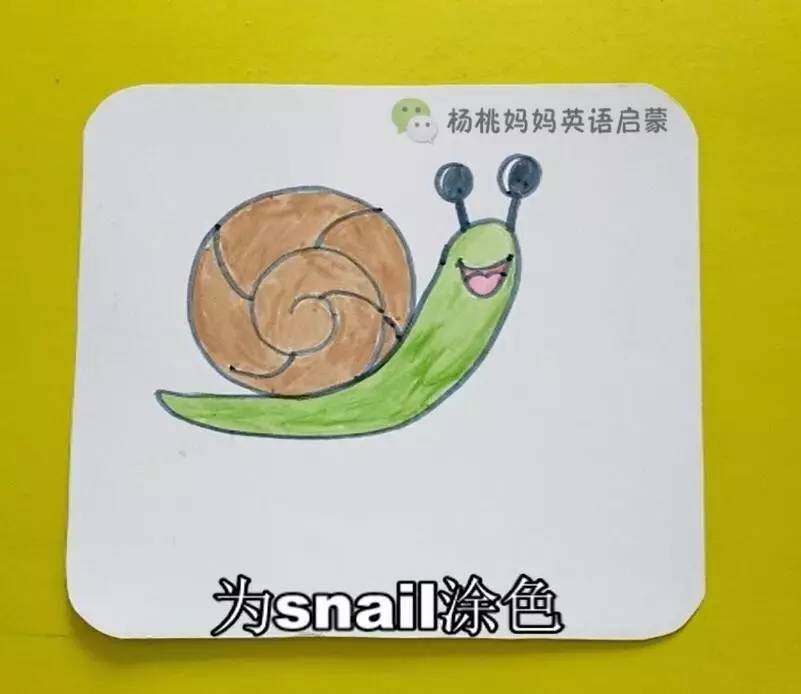 英语萌萌画蜗牛snail