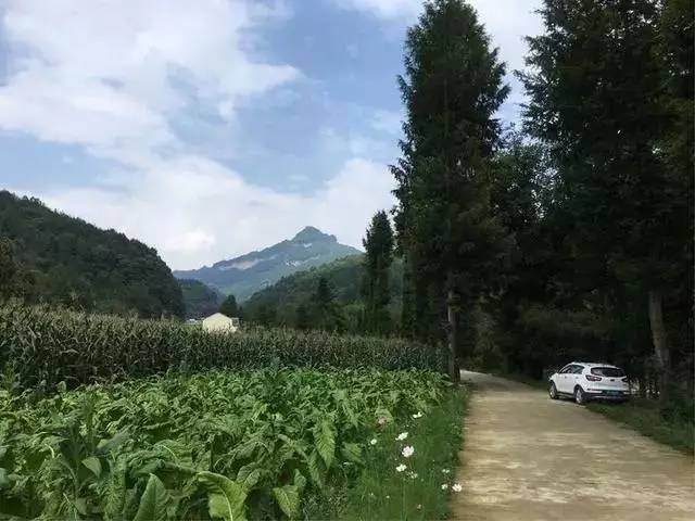 宁静美丽的陕南特色小山村南郑庙坝村