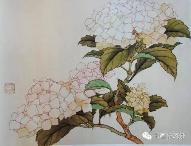 中国工笔画《荣宝斋花卉画谱》珍藏版!