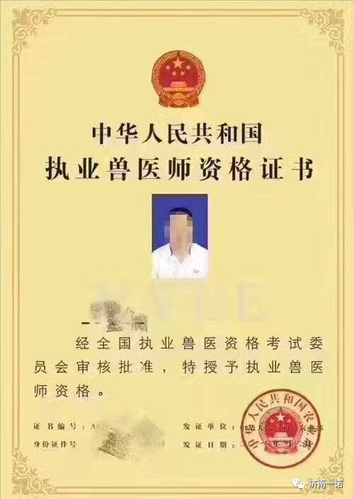 宠物行业的美容师和兽医皆是如此!国家标准高于一切.