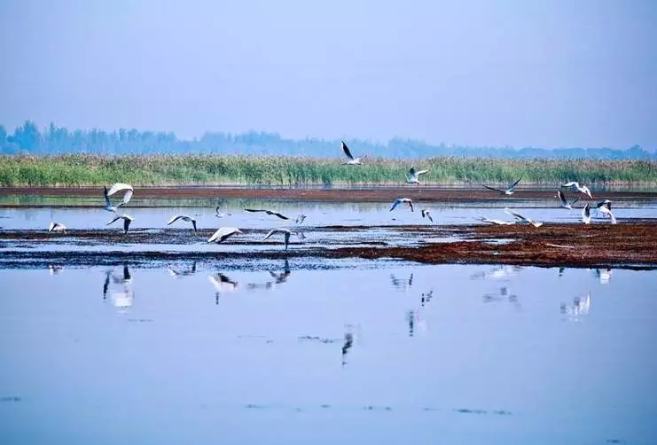 衡水湖