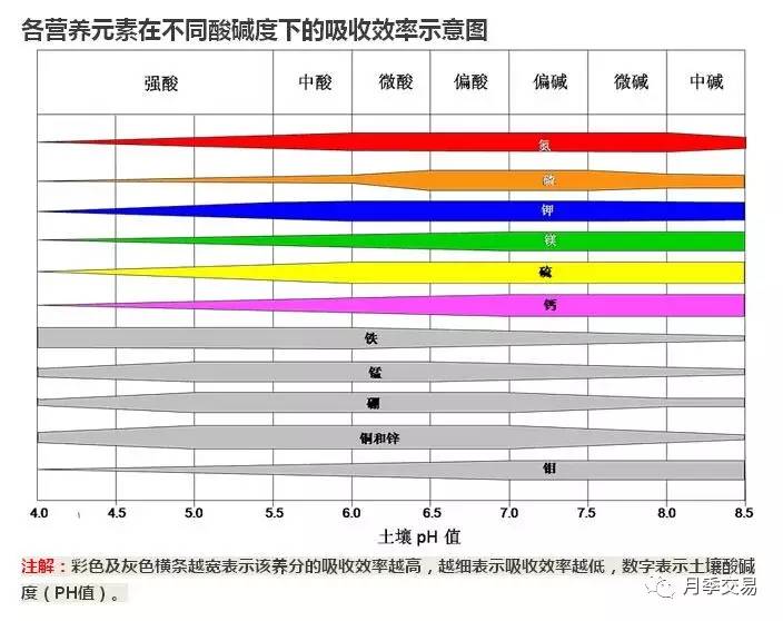 广东土壤ph值检测土壤酸碱度失衡检测