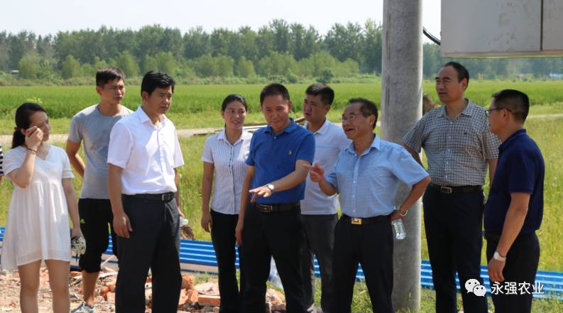 永强农业阜南县副县长曹涛一行到黄氏番鸭育种基地考察