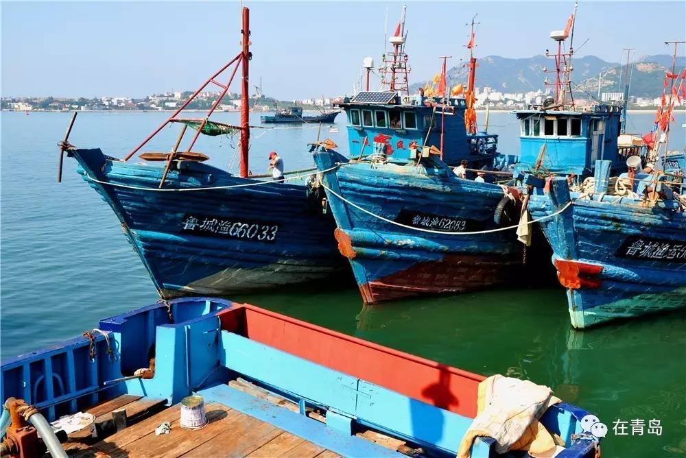 开海第一鲜实拍餐桌上的青岛坐标沙子口看完哈拉子直流