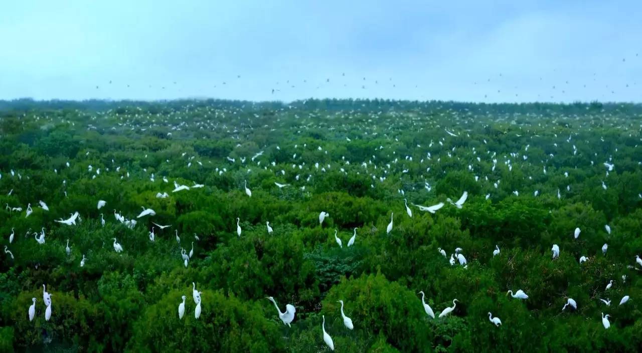 在洪泽湖湿地,下了班就能看到蓝天白云,大自然美景,幸福!