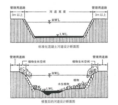 对于河流生态修复有着重要文化 正文  河道断面应设计有深潭和浅滩