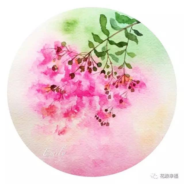 一起来画画莳花夏景紫薇花团练作业二期