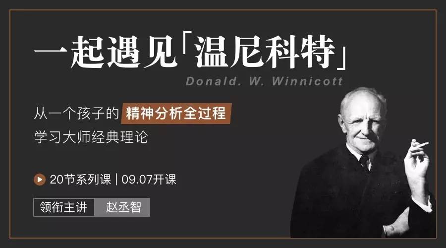 20讲,一起遇见「温尼科特 从大师案例学习经典理论