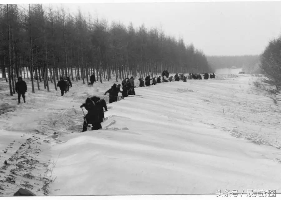 55年来,几代塞罕坝人在自然环境和生活条件极其恶劣的情况下,建成了