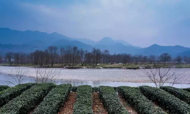 茶园镇人口_桂东清泉镇茶园风景