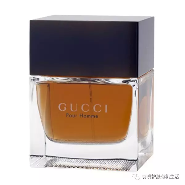 古驰 经典同名男士一代 gucci pour homme, 2003