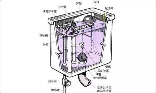 抽水马桶上有两个冲水按钮大部分人都按错了