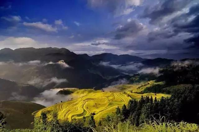 重庆的人口腹地增加_重庆夜景(3)