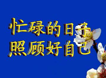 敲黑板,划重点,是中老年表情包 最后送大家实用的中老年表情包 以下是