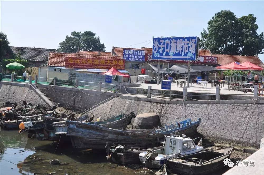 开海第一鲜实拍餐桌上的青岛坐标沙子口看完哈拉子直流