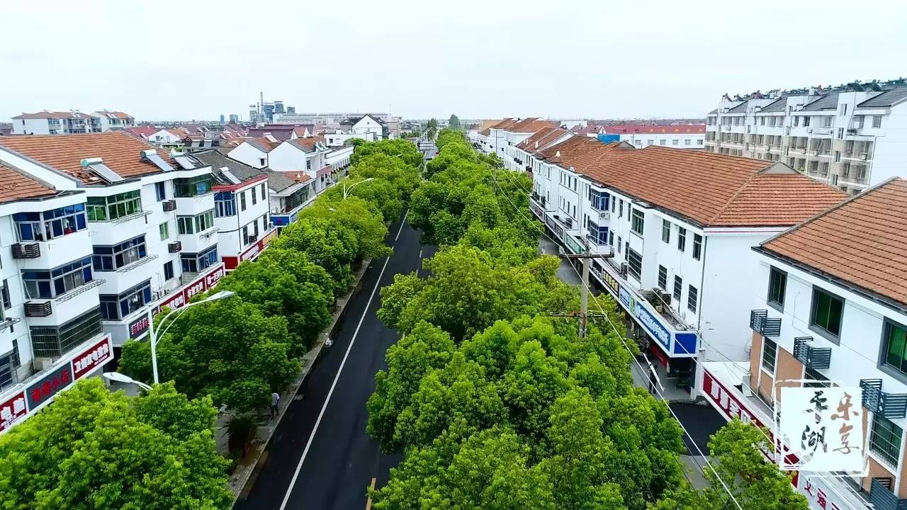 【平湖好风景】小镇故事多,风景也不错~钟埭这个地方气质独特!