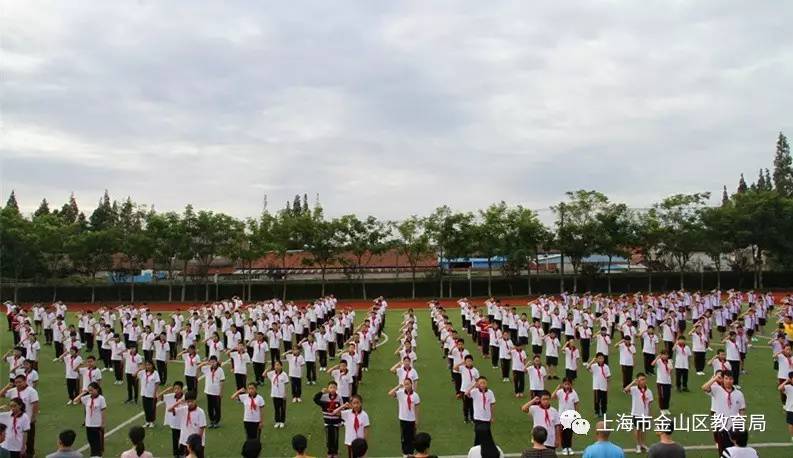 上海金山杭州湾双语学校朱行小学亭林小学辅读学校新城幼儿园东风幼儿