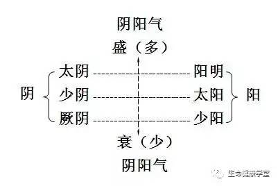 【中医基础理论】阴阳学说