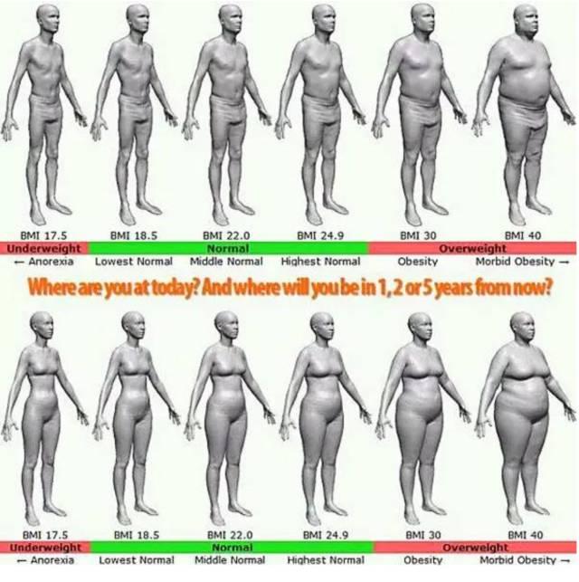 科学判断肥胖,应该从体质指数(bmi),体脂率(bfr),腰臀比(whr),内脂