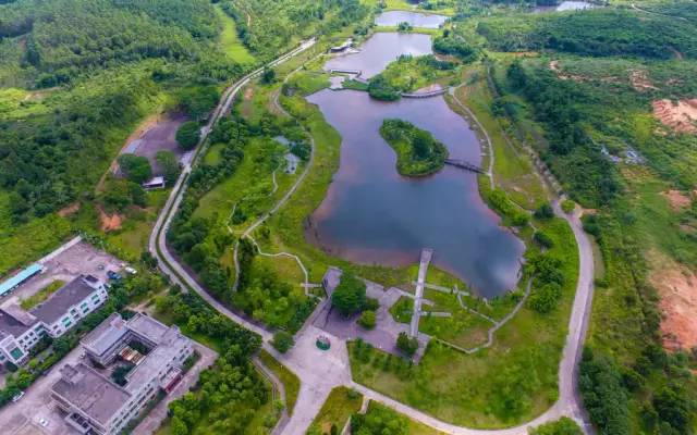 生态公园▲共和石斛种植基地▲共和三瓜两豆简 历共和镇位于鹤山市东