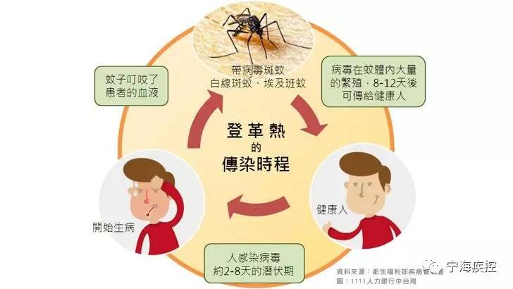 医生医生,我发烧了是不是登革热啊?