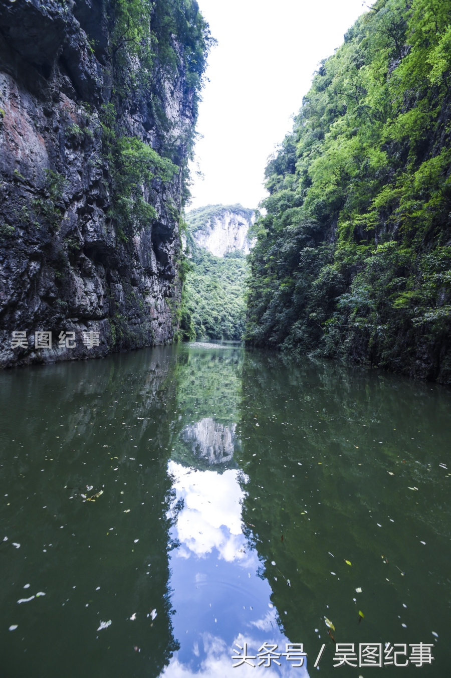 探秘猫跳河峡谷窄流,船只在地缝行驶观两岸崖壁天然画美不胜收