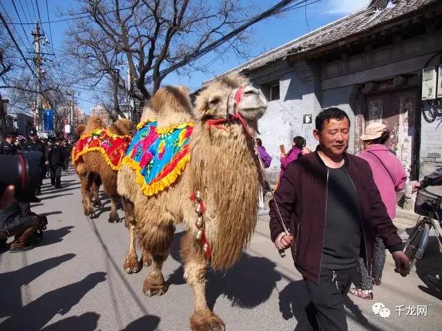 石景山模式口"骆驼祥子"大街恢复驼铃古道风韵!