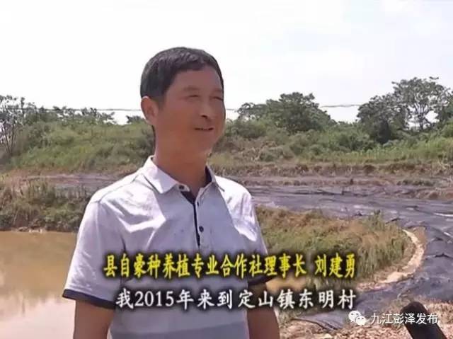 彭泽自豪种养植专业合作社理事长 刘建勇