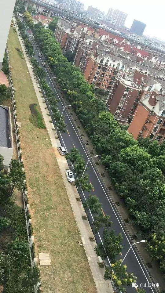 武汉江夏庙山又有多条道路刷黑! 赏湖景佳地!