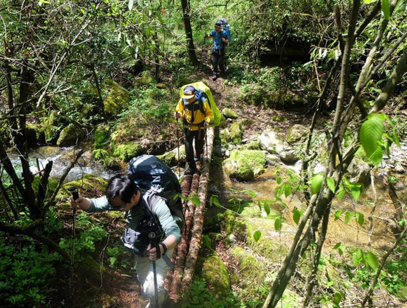 蓝天下户外轻装神农架徒步穿越无人区原始森林野外求生穿越高山杜鹃林