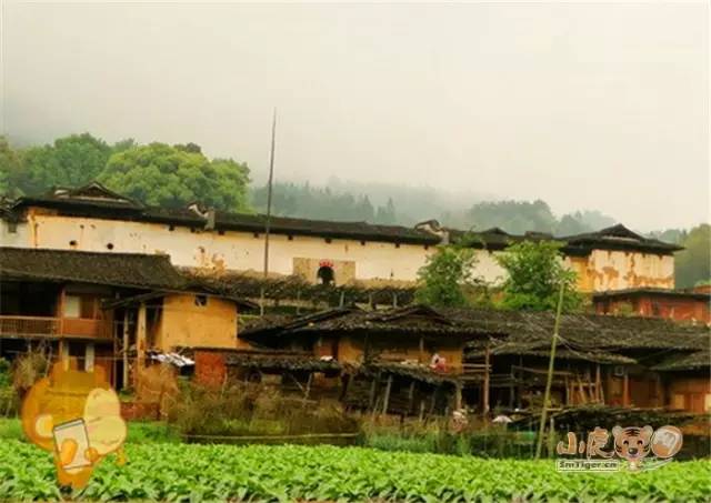 尤溪县:洋中镇水圳村,上塘村,天堂村;溪尾乡莘田村逢春自然村,梅仙镇