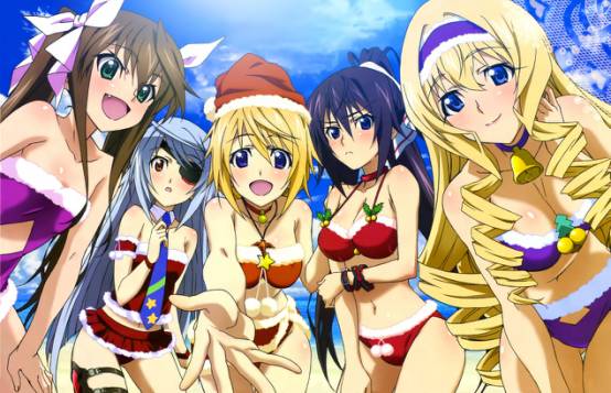 商业之巅,名作之壁《infinite stratos(无限斯特拉托斯》