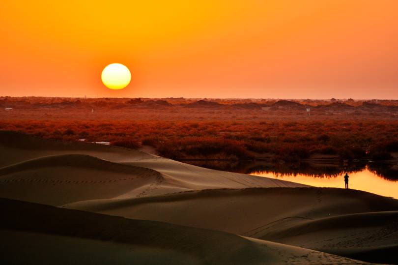在这里能感受到沙漠的粗犷和壮美,日出,日落之时一片金色的沙漠,尤为