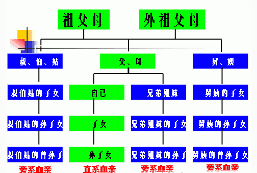 怀化一对表姐弟近亲结婚,闹离婚时法院却这样判!