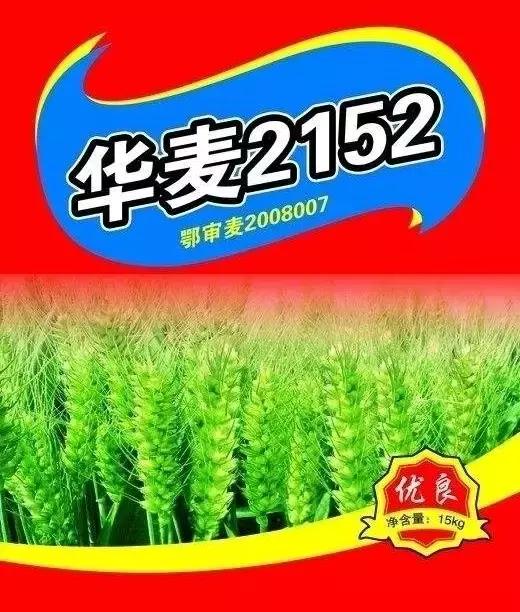 四,华麦 2152适宜于黄淮冬麦区的陕西渭北,河南西北部,山西晋南等旱地