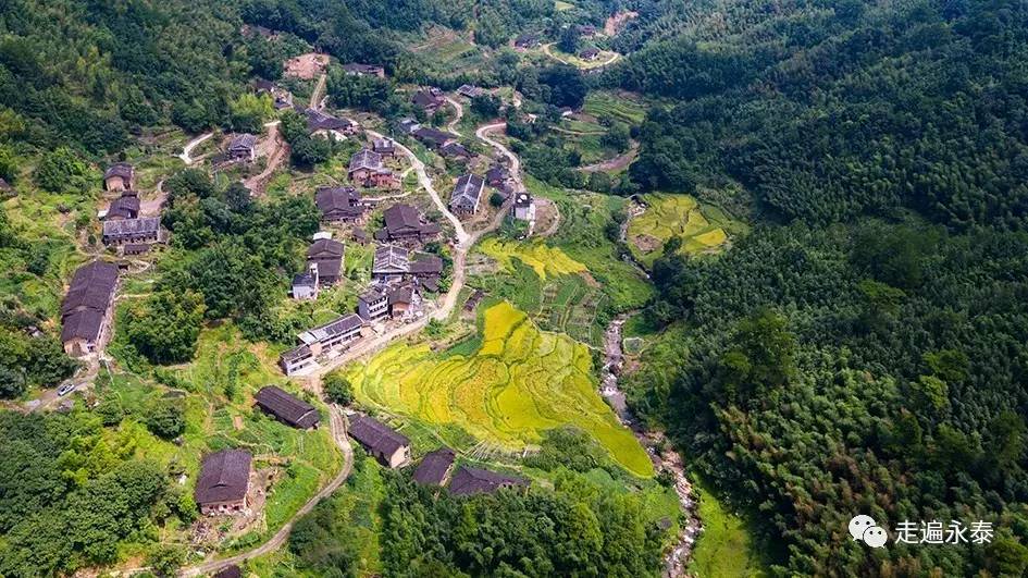 寨里村竹头寨自然村,石岸村;赤锡乡东坑村,念后村黄坑自然村;大洋镇大