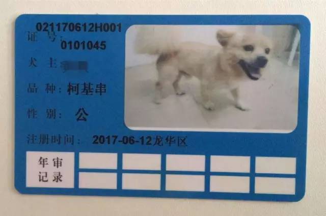 深圳市养犬许可登记点汇总表▼在符合办理《养犬登记证》的条件的情况