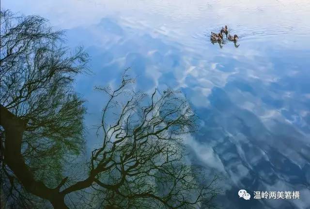 箬横白峰山北,晋山之东,有一处小塘,名曰"亚湖塘.