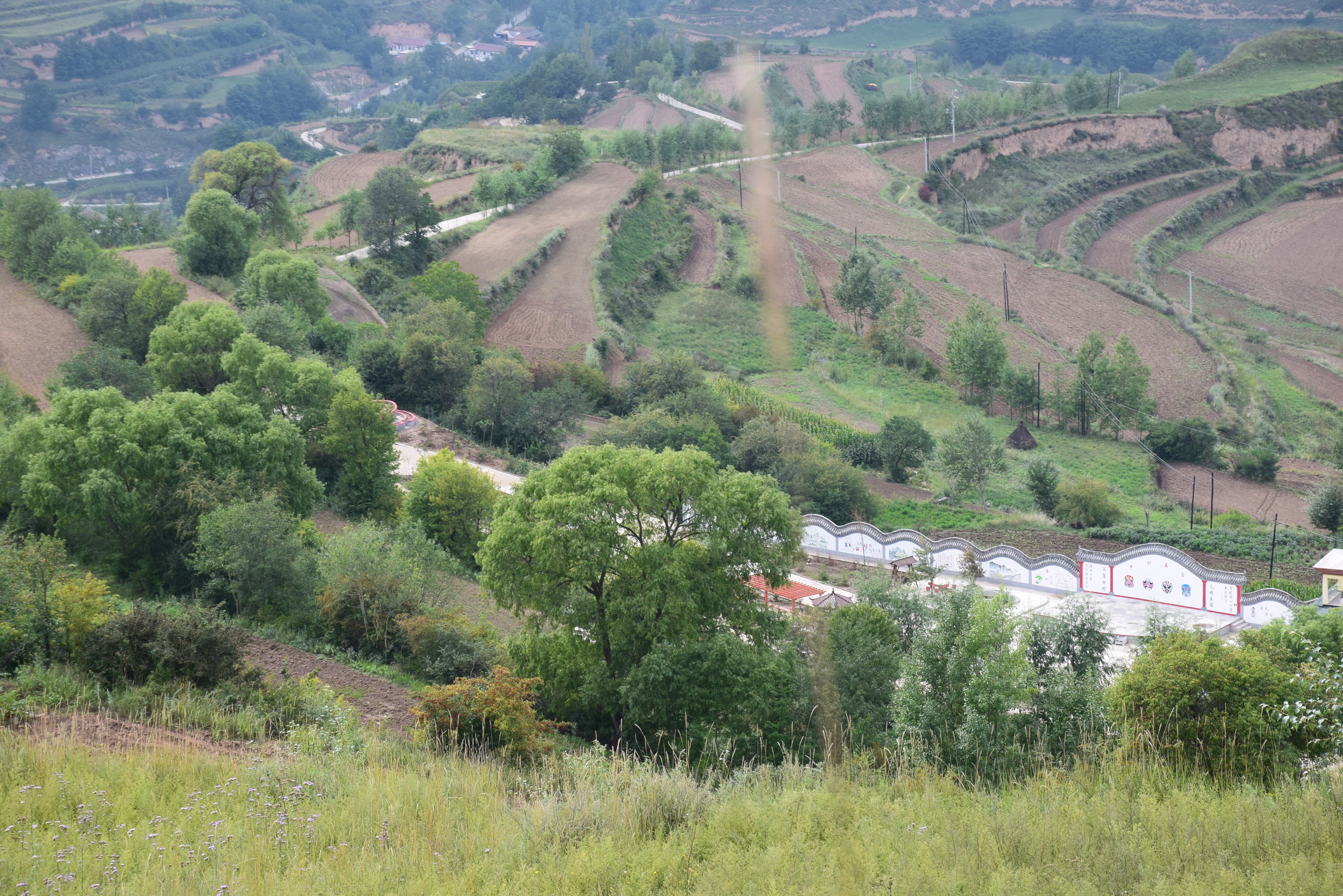 甘肃天水张家川有个美丽的地方叫做赵湾村