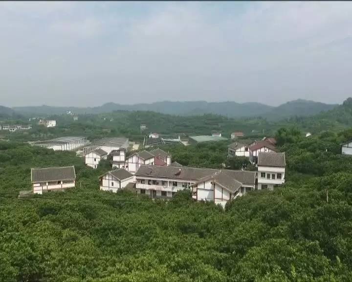 广安市四个村入围"首届四川百强名村"