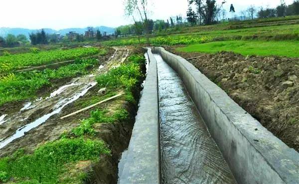 科普|关于农业节水灌溉技术,远不止你知道的滴