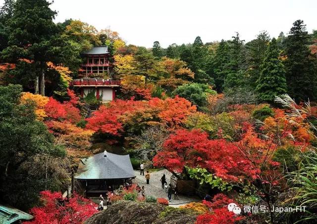 日本红叶狩猎北陆自由行这些才是红叶名所中的翘楚