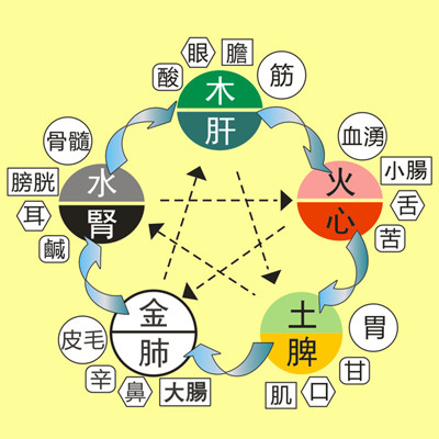 最全的五脏五行详解!《黄帝内》重要总结,读完大有